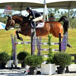 Hunter Jumping Wing Factory - OEM Horse Show Jump with Keyhole Track