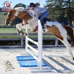 Aluminum Horse Show Jumping Manufacturer - OEM Competition Standard Equine Products