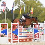 Hunter Jumping Wing Factory - OEM Horse Show Jump with Keyhole Tracks