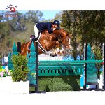 Training Horse Jumps Manufacturer - OEM Durable Aluminum Block for Training
