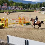 Horse Jump Wing Factory - OEM Equine Activity Equipment Horse Products