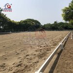 Movable Dressage Arena Manufacturer - OEM UV Resistant White HDPE for Dressage Riding