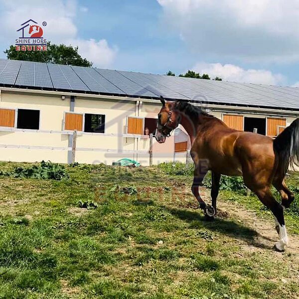 Horse Barn Hinged Window Factory - OEM Husbandry Equipment Heavy Duty Steel Prefab HDG