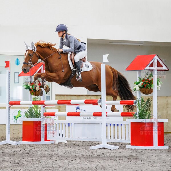 Horse Jumping Products Factory - OEM Equine Products Equestrian Horse Jumping