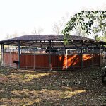 Electric Horse Walker Factory - OEM with Optional Fence and Roof Horse Products