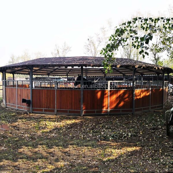 Electric Horse Walker Factory - OEM with Optional Fence and Roof Horse Products