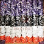 White Ground Soft Poles Manufacturer - OEM Basic Exercises Using Horse Ground