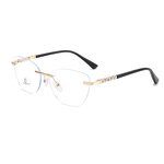 Eyeglasses Manufacturer - OEM Custom Spring Hinge Transparent Rimless