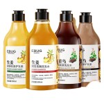 Ginger Shampoo 500ml Shampoo Refreshing Oil Control Clean Hair Polygonum Conditioner Wholesale
