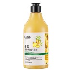 Ginger Shampoo 500ml Shampoo Refreshing Oil Control Clean Hair Polygonum Conditioner Wholesale