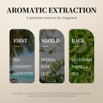 Coconut Shampoo Amino Acid Mild Cleaning and Oil Control 500ml Cross Border Foreign Trade Wholesale