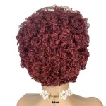 Wholesale Best-selling Short Curly Hair 100% Human Hair Small Curly Hair Fluffy for Black Woman in Stock