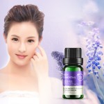 薰衣草玫瑰茶树纯精油保湿缩孔植物控油