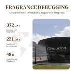 Coconut Shampoo Amino Acid Mild Cleaning and Oil Control 500ml Cross Border Foreign Trade Wholesale