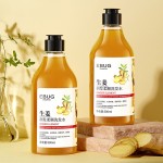 Ginger Shampoo 500ml Shampoo Refreshing Oil Control Clean Hair Polygonum Conditioner Wholesale