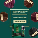Black Hair Dye Permanent Lasting Wholesale Chinese Organic   Herbal Hair Color Shampoo