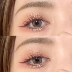 Transparent, Acrylic, Plate, Student, Price, Color, Pearl, Stage, Makeup, Eye Shadow.