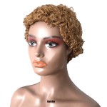 Wholesale Best-selling Short Curly Hair 100% Human Hair Small Curly Hair Fluffy for Black Woman in Stock