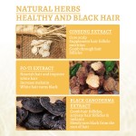 Nourishing Hair Repair Cream Black Ganoderma White to Black Hair Lotion with Hyaluronic Acid Moisturizing Hydrating Ingredients