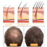 生姜专业沙龙防脱发洗发水摩洛哥坚果油滋润修复毛囊坚韧减少头发脱落头发