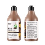 Ginger Shampoo 500ml Shampoo Refreshing Oil Control Clean Hair Polygonum Conditioner Wholesale