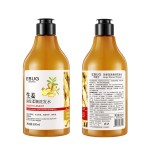 Ginger Shampoo 500ml Shampoo Refreshing Oil Control Clean Hair Polygonum Conditioner Wholesale