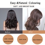 Black Hair Dye Permanent Lasting Wholesale Chinese Organic   Herbal Hair Color Shampoo