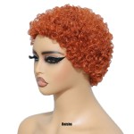 Wholesale Best-selling Short Curly Hair 100% Human Hair Small Curly Hair Fluffy for Black Woman in Stock