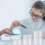 Petri Dish Manufacturer - OEM Custom Plastic Sterile Tissue Culture