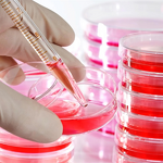 Petri Dish Manufacturer - OEM Custom Plastic Sterile Tissue Culture