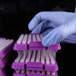 Filtered Pipette Tips Factory - OEM Custom 10ul-10ml with Box