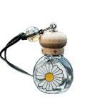 Car Aroma Diffuser Perfume Bottle Manufacturer - OEM Stock 10ml Clear Flat Hanging Glass