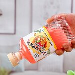 Fruit Wine Glass Bottle Factory - OEM Custom 500ml 16oz with Wooden Cork for Spirit