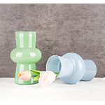 Unique Vibrant Colors Glass Vase Manufacturer - OEM Blue Pink Yellow Black White Luxury