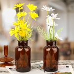 Amber Black Transparent Glass Vase Factory - OEM 120-1000ml Home Decoration with Lid
