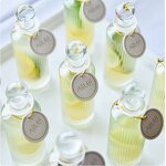 Glass Fruit Wine Drinking Bottle Manufacturer - OEM 150ml 5oz with Stopper for Whisky