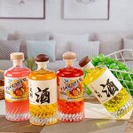 Empty Glass Fruit Wine Bottles Manufacturer - OEM 16oz 500ml for Beverages with Cork