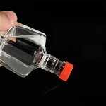 Mini Glass Liquor Bottles Manufacturer - OEM 50ml 1.7 oz Small Wine Bottles with Lids