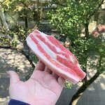 Pork Belly Model Factory - OEM Custom Korean Style BBQ Restaurant