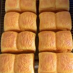 Bread Model Manufacturer - OEM Custom Yeast Fermentation Dough Toast