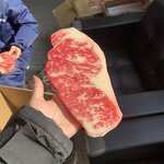 Melon Seeds Model Factory - OEM Custom PVC Simulation Gift Coffee