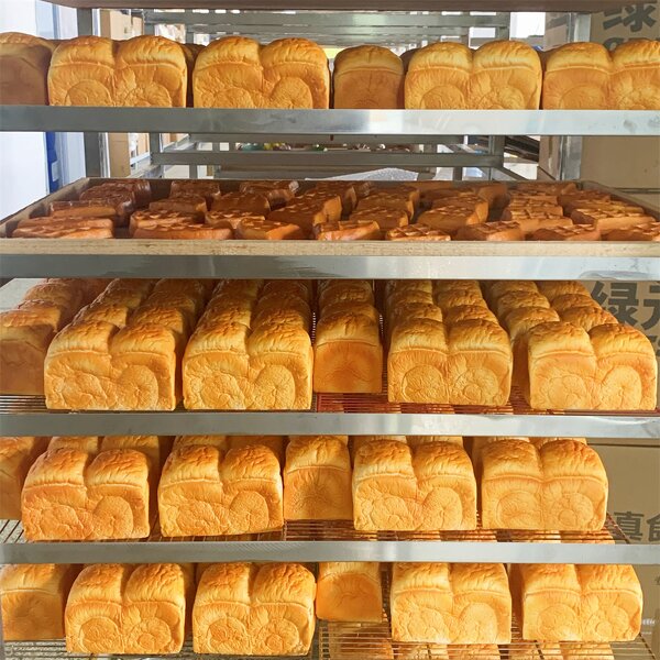 Bread Model Manufacturer - OEM Custom Yeast Fermentation Dough Toast