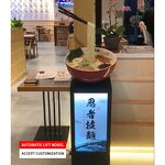 Light Box Manufacturer - OEM Custom Japanese Food Model Fake Electric