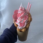 Bubble Waffle Model Manufacturer - OEM Custom Pink Cherry Blossom Sakura