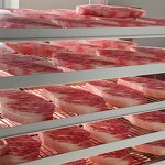 Melon Seeds Model Factory - OEM Custom PVC Simulation Gift Coffee