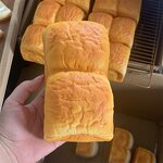 Bread Model Manufacturer - OEM Custom Yeast Fermentation Dough Toast