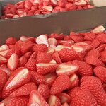 Banana Slice Model Manufacturer - OEM Custom Elastic Diagonally Fruit