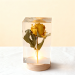 LED Base Factory - OEM Custom Luminous USB Connection Flower