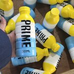 Stress Toy Manufacturer - OEM Custom Water Bottle Rebound Gift