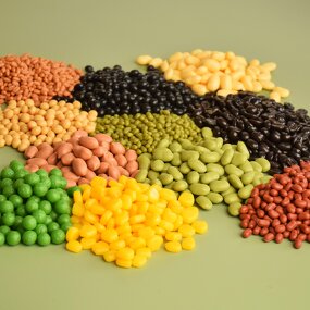 Coffee Bean Model Factory - OEM Custom PVC Simulation Corn Kernel